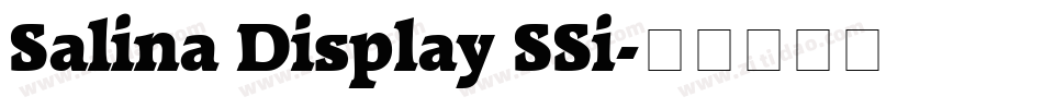 Salina Display SSi字体转换